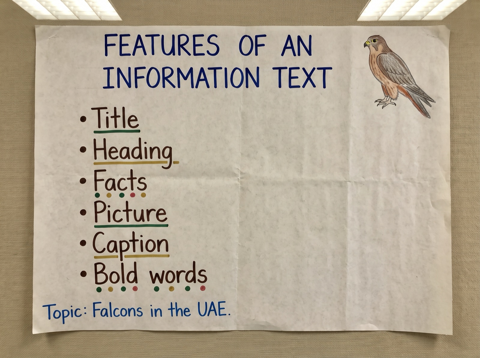 Information Texts, Rooted in the UAE · classroom image